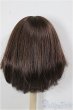 画像2: 9-10inch/ウィッグ/インチ　BJD　MJD　ドール用 A-25-12-03-376-NY-ZA (2)