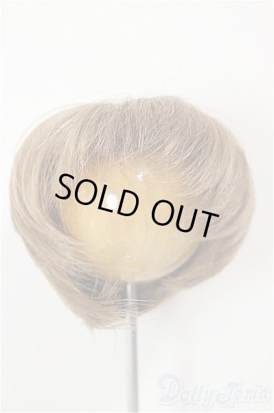 画像1: 7-8inch/ウィッグ/インチ　BJD　MJD　ドール用 A-25-12-03-378-NY-ZA (1)