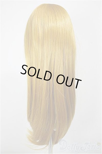 画像2: 8-9inch/ウィッグ/インチ　BJD　MJD　ドール用 A-25-12-10-265-NY-ZA (2)