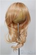 画像1: 8-9inch/ウィッグ/インチ　BJD　MJD　ドール用 A-25-12-10-234-NY-ZA (1)