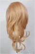 画像2: 8-9inch/ウィッグ/インチ　BJD　MJD　ドール用 A-25-12-10-234-NY-ZA (2)