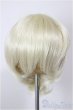 画像1: 7-8inch/ウィッグ/インチ　BJD　MJD　ドール用 A-25-12-10-203-NY-ZA (1)