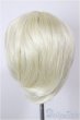 画像2: 7-8inch/ウィッグ/インチ　BJD　MJD　ドール用 A-25-12-10-203-NY-ZA (2)