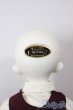 画像7: SDM女の子/F-64　コーディネートモデル/BJD　球体関節人形 A-25-12-17-102-NY-ZA (7)