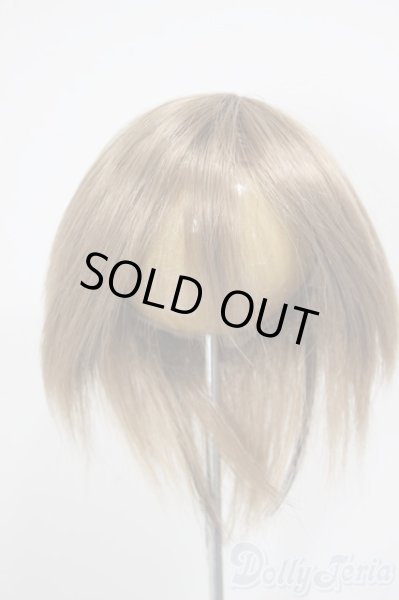 画像1: 8-9inch/ウィッグ/インチ　BJD　MJD　ドール用 A-25-12-17-228-NY-ZA (1)