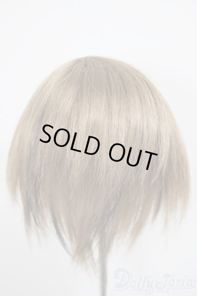 画像2: 8-9inch/ウィッグ/インチ　BJD　MJD　ドール用 A-25-12-17-228-NY-ZA (2)