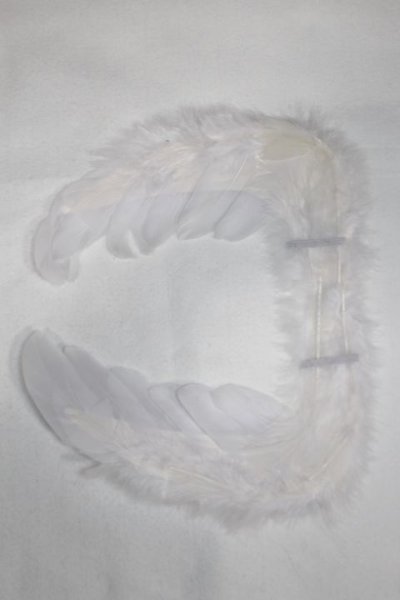 画像1: SDM/OF:羽/1/4　40ｃｍ　BJD　MJD　衣装　ドール用 A-25-12-24-040-NY-ZA (1)