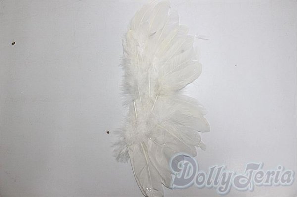 画像1: SDM/OF:羽/1/4　40ｃｍ　BJD　MJD　衣装　ドール用 A-25-12-17-243-NY-ZA (1)