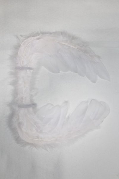 画像1: SDM/OF:羽/1/4　40ｃｍ　BJD　MJD　衣装　ドール用 A-25-12-24-039-NY-ZA (1)