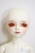 画像1: SDM男の子/エリック：星間学寮ver/BJD　球体関節人形 A-25-12-17-191-NY-ZA (1)