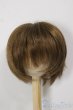 画像1: 8-9inch/ウィッグ/インチ　BJD　MJD　ドール用 A-25-12-17-149-NY-ZA (1)