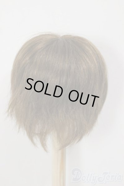 画像2: 8-9inch/ウィッグ/インチ　BJD　MJD　ドール用 A-25-12-17-149-NY-ZA (2)