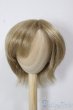 画像1: 8-9inch/ウィッグ/インチ　BJD　MJD　ドール用 A-25-12-17-147-NY-ZA (1)