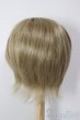 画像2: 8-9inch/ウィッグ/インチ　BJD　MJD　ドール用 A-25-12-17-147-NY-ZA (2)