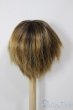 画像2: 8-9inch/ウィッグ/インチ　BJD　MJD　ドール用 A-25-12-17-146-NY-ZA (2)