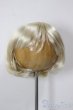 画像1: 6-7inch/ウィッグ/インチ　BJD　MJD　ドール用 A-25-12-17-143-NY-ZA (1)