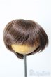 画像1: 6-7inch/ウィッグ/インチ　BJD　MJD　ドール用 A-25-12-17-258-NY-ZA (1)