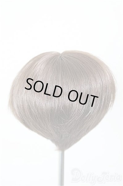 画像2: 6-7inch/ウィッグ/インチ　BJD　MJD　ドール用 A-25-12-17-258-NY-ZA (2)