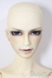 画像2: SD17男の子/キリコ/BJD　球体関節人形 A-25-12-24-101-NY-ZA (2)