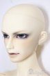 画像4: SD17男の子/キリコ/BJD　球体関節人形 A-25-12-24-101-NY-ZA (4)