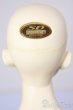 画像5: SD17男の子/キリコ/BJD　球体関節人形 A-25-12-24-101-NY-ZA (5)