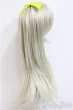 画像2: 9-10inch/ウィッグ/インチ　BJD　MJD　ドール用 A-25-12-17-333-NY-ZA (2)