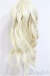 画像4: 9-10inch/ウィッグ/インチ　BJD　MJD　ドール用 A-25-12-17-334-NY-ZA (4)