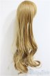 画像2: 9-10inch/ウィッグ/インチ　BJD　MJD　ドール用 A-25-12-17-336-NY-ZA (2)