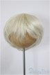 画像1: 8-9inch/ウィッグ　HANNASU/インチ　BJD　MJD　ドール用 A-26-1-4-145-NY-ZA (1)
