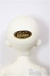 画像6: SDM女の子/コーディネートモデルF-48/BJD　球体関節人形 A-26-1-4-201-NY-ZA (6)
