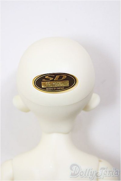 画像6: SDM女の子/コーディネートモデルF-48/BJD　球体関節人形 A-26-1-4-201-NY-ZA (6)