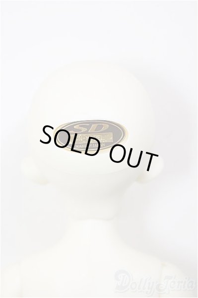 画像6: SDM女の子/コーディネートモデルF-48/BJD　球体関節人形 A-26-1-4-201-NY-ZA (6)