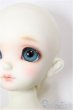 画像7: SDM女の子/コーディネートモデルF-48/BJD　球体関節人形 A-26-1-4-201-NY-ZA (7)