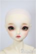 画像2: SDGr女の子/ルチア　アンティークスタイリスト Ver./BJD　球体関節人形 A-26-1-4-105-NY-ZA (2)