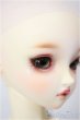 画像3: SDGr女の子/ルチア　アンティークスタイリスト Ver./BJD　球体関節人形 A-26-1-4-105-NY-ZA (3)
