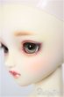 画像4: SDGr女の子/ルチア　アンティークスタイリスト Ver./BJD　球体関節人形 A-26-1-4-105-NY-ZA (4)