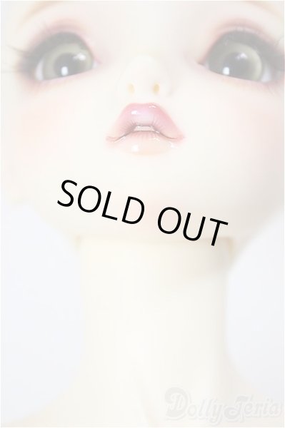 画像5: SDGr女の子/ルチア　アンティークスタイリスト Ver./BJD　球体関節人形 A-26-1-4-105-NY-ZA (5)