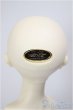 画像6: SDGr女の子/ルチア　アンティークスタイリスト Ver./BJD　球体関節人形 A-26-1-4-105-NY-ZA (6)