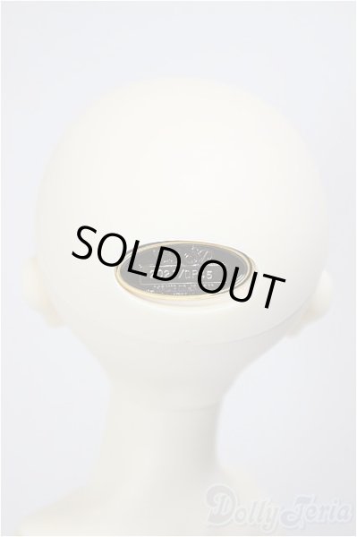 画像6: SDGr女の子/ルチア　アンティークスタイリスト Ver./BJD　球体関節人形 A-26-1-4-105-NY-ZA (6)