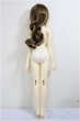 画像8: SDGr女の子/ルチア　アンティークスタイリスト Ver./BJD　球体関節人形 A-26-1-4-105-NY-ZA (8)