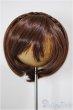 画像1: 8-9inch/ウィッグ/インチ　BJD　MJD　ドール用 A-26-1-4-177-NY-ZA (1)