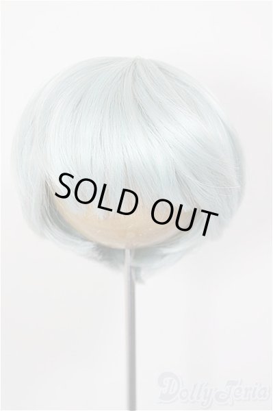 画像1: 8-9inch/ウィッグ/インチ　BJD　MJD　ドール用 A-26-1-4-168-NY-ZA (1)