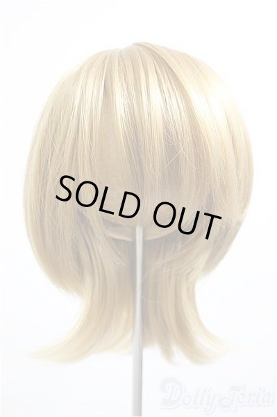 画像1: 9-10inch/ウィッグ/インチ　BJD　MJD　ドール用 A-26-01-14-142-NY-ZA (1)