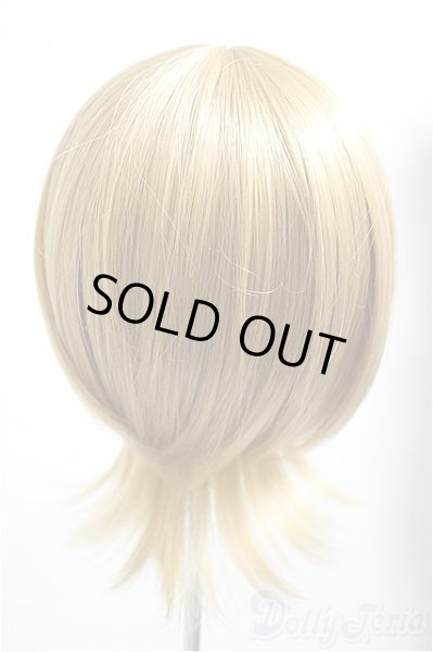 画像2: 9-10inch/ウィッグ/インチ　BJD　MJD　ドール用 A-26-01-14-142-NY-ZA (2)