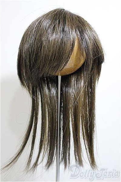 画像1: 9-10inch/ウィッグ/インチ　BJD　MJD　ドール用 A-26-01-14-145-NY-ZA (1)