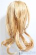 画像2: 9-10inch/ウィッグ/インチ　BJD　MJD　ドール用 A-26-01-14-144-NY-ZA (2)