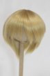 画像1: 8inch/ウィッグ/インチ　BJD　MJD　ドール用 A-26-01-14-100-NY-ZA (1)