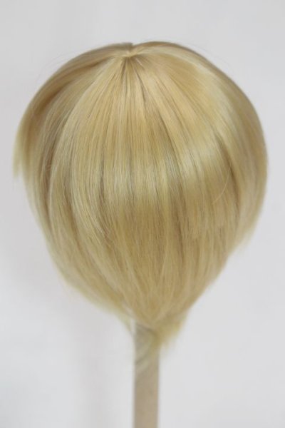 画像2: 8inch/ウィッグ/インチ　BJD　MJD　ドール用 A-26-01-14-100-NY-ZA (2)