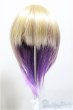 画像1: 7-8inch/ウィッグ/インチ　BJD　MJD　ドール用 A-26-01-14-135-NY-ZA (1)