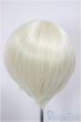 画像2: 8-9inch/ウィッグ/インチ　BJD　MJD　ドール用 A-26-01-04-356-NY-ZA (2)